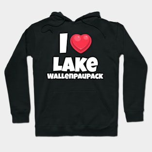 I love Lake Wallenpaupack Hoodie